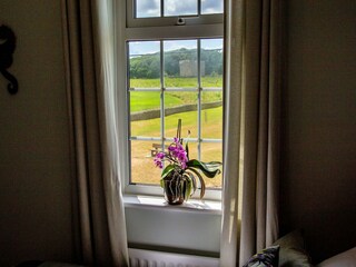 Vakantiehuis Morpeth Buitenaudio-opname 4