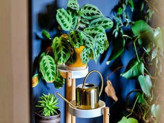 Ferienhaus Morpeth  31