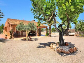 Appartamento Can Picafort  7