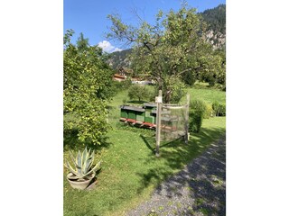 Unser Bienenstand/etwas abseits