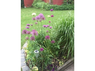 Ferienwohnung Bad König Außenaufnahme 6