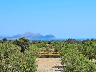 Appartement Santa Margalida  23