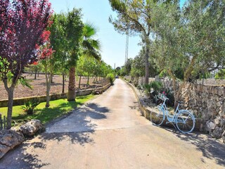 Appartamento Santa Margalida  25