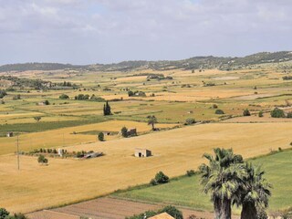 Appartamento Santa Margalida  26