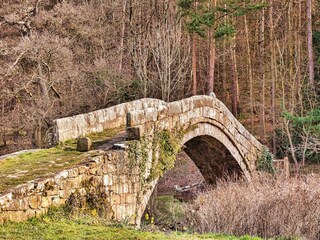 Casa vacanze Lealholm Ambiente 17