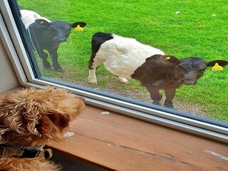 Cottage Lealholm Außenaufnahme 4