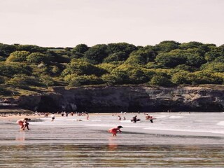 Vakantiehuisje Lealholm Omgeving 27