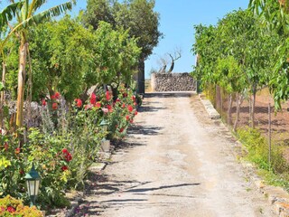 Appartement Santa Margalida  11