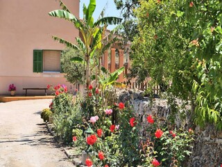 Appartamento Santa Margalida  23