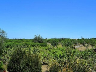 Appartamento Sineu  27