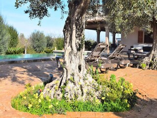 Appartamento Maria De La Salut  2