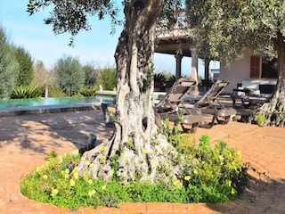 Appartement Maria De La Salut  2