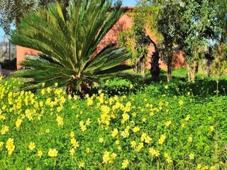 Apartamento Maria De La Salut  22