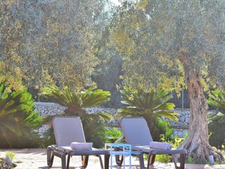 Apartment Maria De La Salut  23