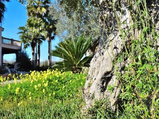 Apartment Maria De La Salut  28