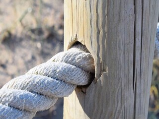 Apartment Maria De La Salut  30