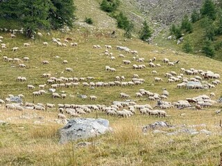 Appartamento Uvernet-Fours Ambiente 21