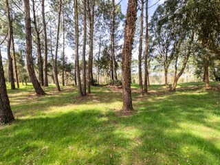 Appartamento Vieux-Boucau-les-Bains  26