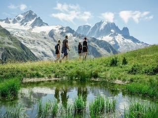 Appartement Chamonix Environnement 24