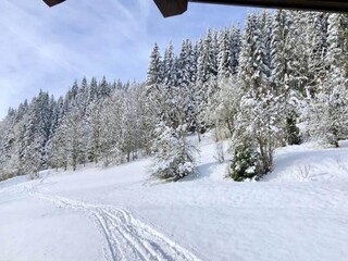 Appartement Morzine  17