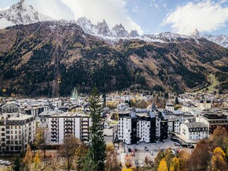 Appartement Chamonix Environnement 28