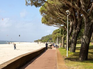Appartement Arcachon Environnement 24
