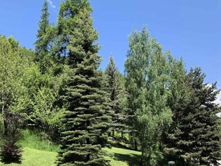 Apartment Uvernet-Fours  9