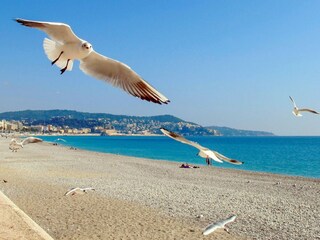Apartment Nizza Außenaufnahme 5