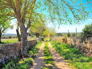 Appartement Son Serra de Marina  25