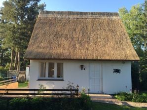 Reetdachferienhaus Boddenblick - Sundhagen - image1