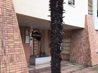 Apartment Arcachon Outdoor Recording 15