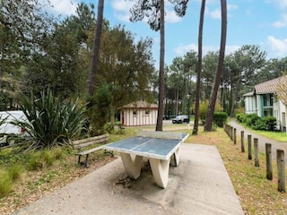 Appartement Vieux-Boucau-les-Bains  15