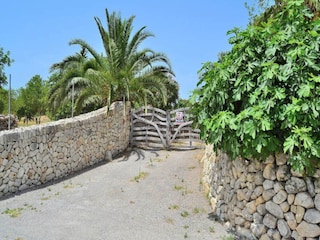 Apartment Lloret de Vistalegre  19