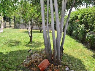 Apartment Lloret de Vistalegre  20