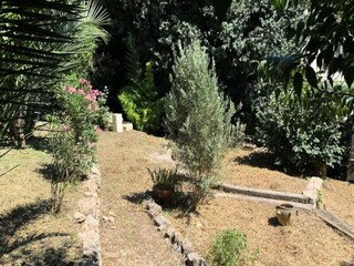 Apartment Vallauris  8