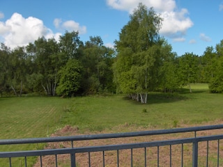 Blick ins Naturschutzgebiet