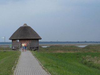 Aussichtspunkt in Zingst