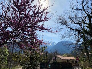 Appartement Vernet-les-Bains  10