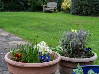 Casa per le vacanze Padstow  45