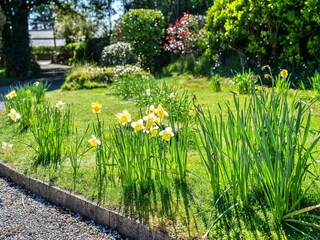 Casa per le vacanze Padstow  43