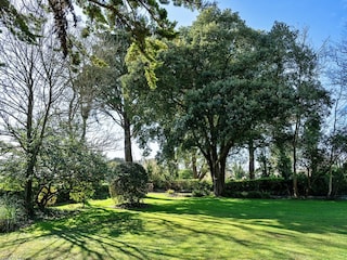 Vakantiehuis Padstow Buitenaudio-opname 7
