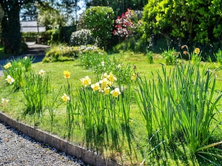 Vakantiehuis Padstow  46