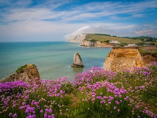 Ferienhaus Milford-on-Sea Außenaufnahme 13