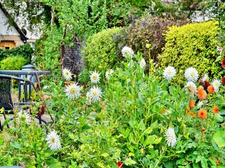 Casa vacanze West Quantoxhead Registrazione all'aperto 8