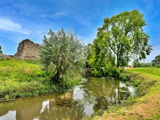 Cottage West Quantoxhead Außenaufnahme 6