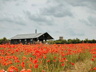 Chalet Burnham Overy Staithe Außenaufnahme 4