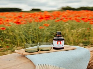 Chalet Burnham Overy Staithe  18