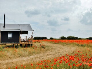 Chalet Burnham Overy Staithe Registrazione all'aperto 2