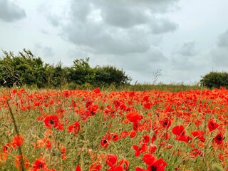 Chalet Burnham Overy Staithe Außenaufnahme 6