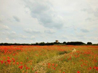 Chalet Burnham Overy Staithe Registrazione all'aperto 6